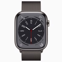 Picture of Apple Watch Series 8 Graphite Stainless Steel Case with Milanese Loop (45mm)