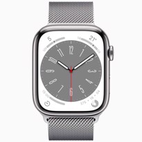 Picture of Apple Watch Series 8 Silver Stainless Steel Case with Milanese Loop (45mm)