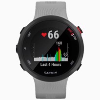 Picture of Garmin Forerunner 45 Plus